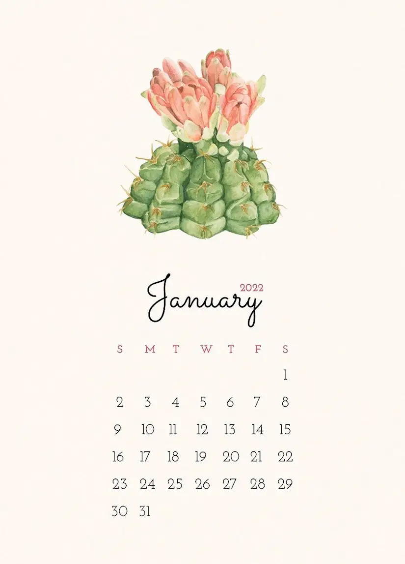 download free image of cactus january 2022 calendar template editable monthly planner flowers aesthetic watercolor template and plant
