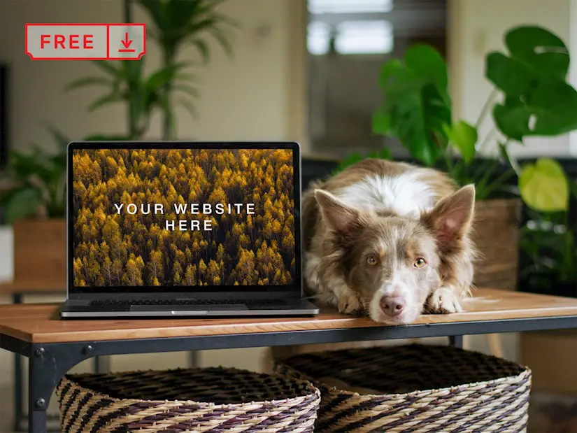 free macbook with dog mockup