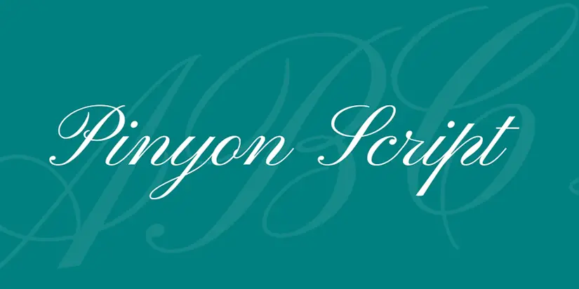 image 15display script fonts