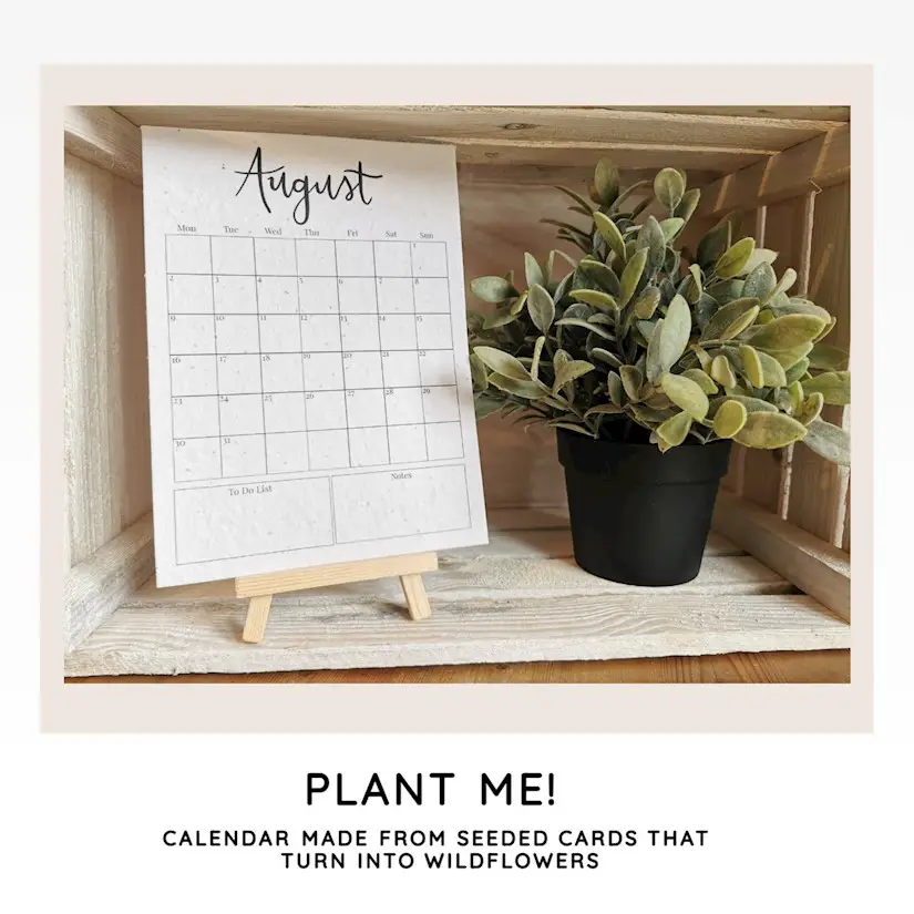 plantable eco calendar made from seeded
