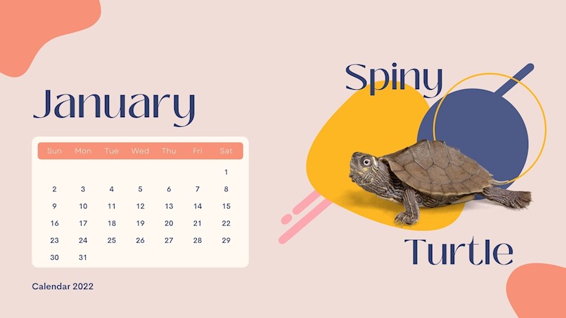 wild animals january 2022 calendar