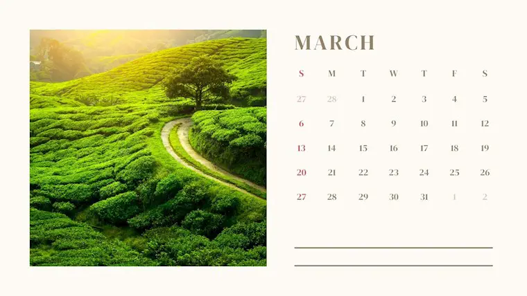 neutral beauty march 2022 calendar