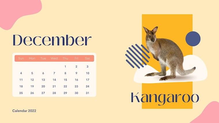 wild animals december 2022 calendar