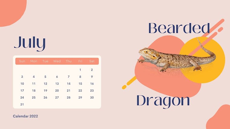 wild animals july 2022 calendar