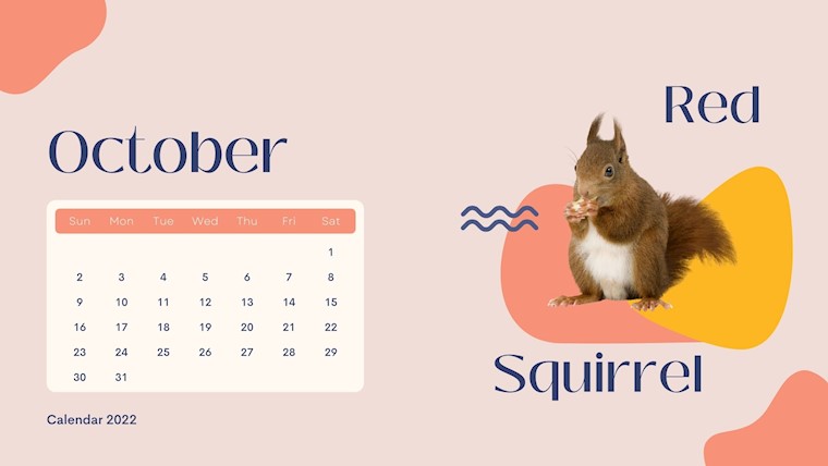 wild animals october 2022 calendar