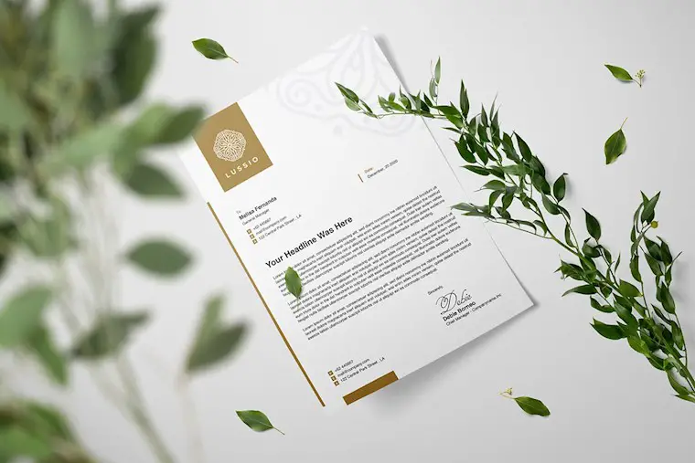 mockup letterhead 00