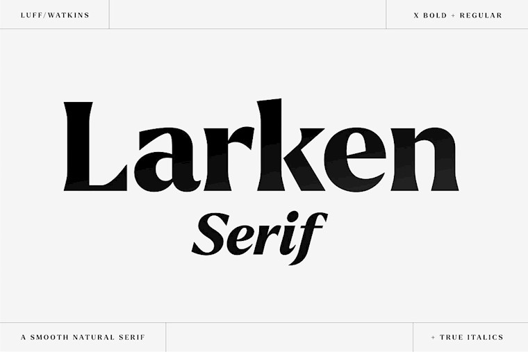 larken a beautiful serif