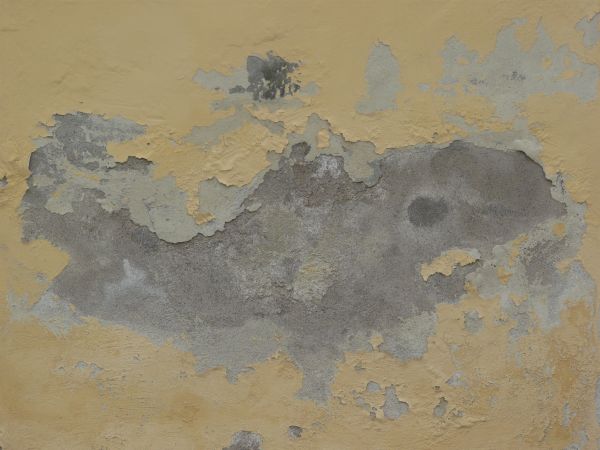 peeling concrete wall