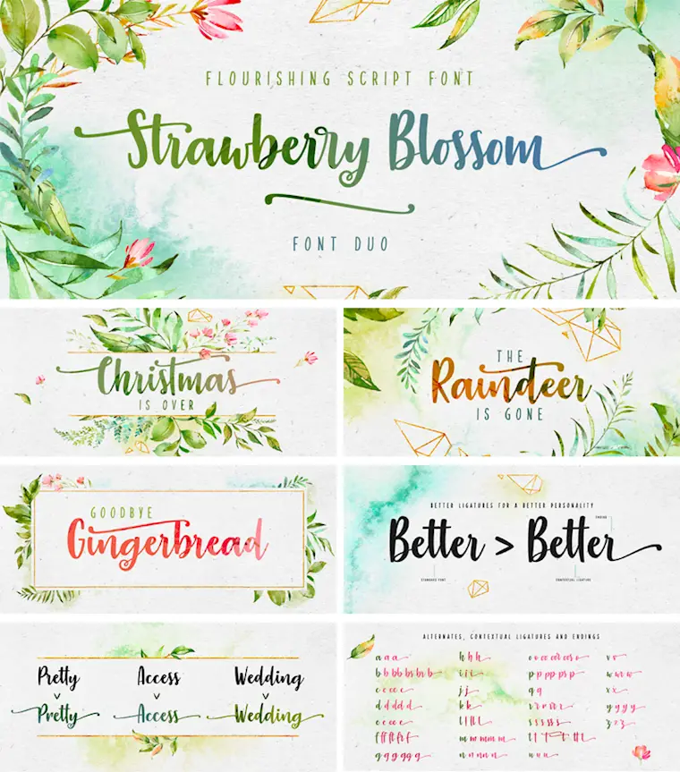 strawberry blossom font