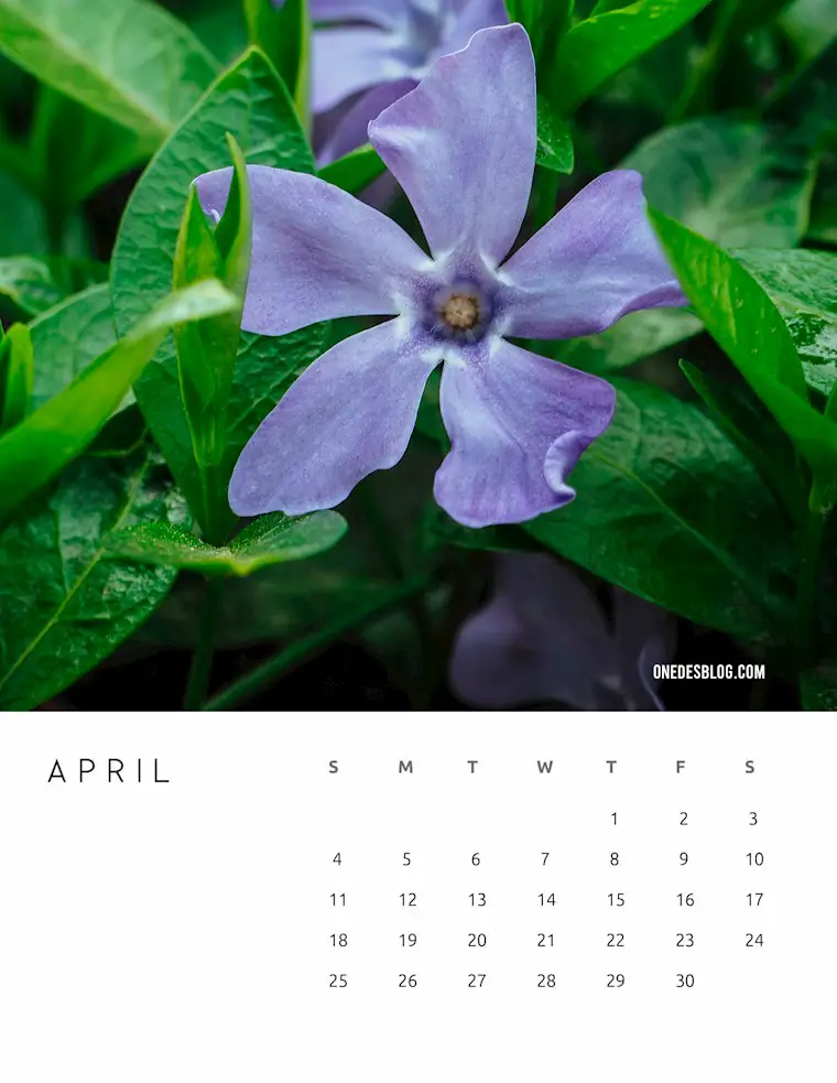 free printable april 2022 calendars