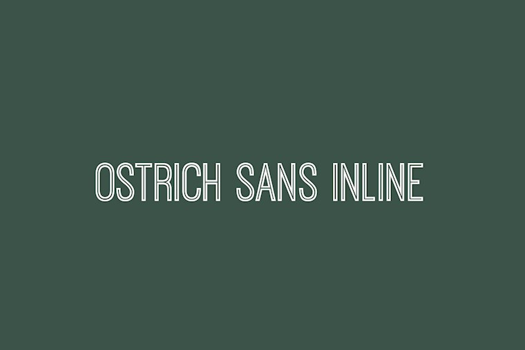 ostrich sans