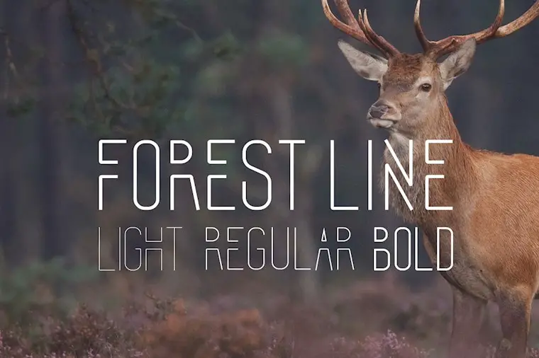 forest line font