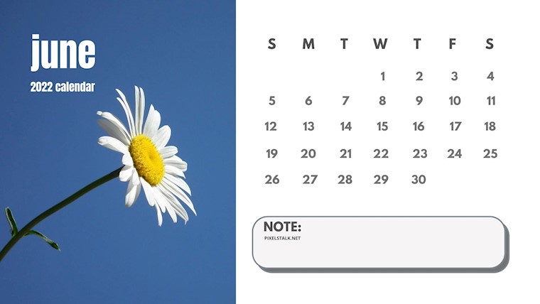 june 2022 calendar daisy pictures