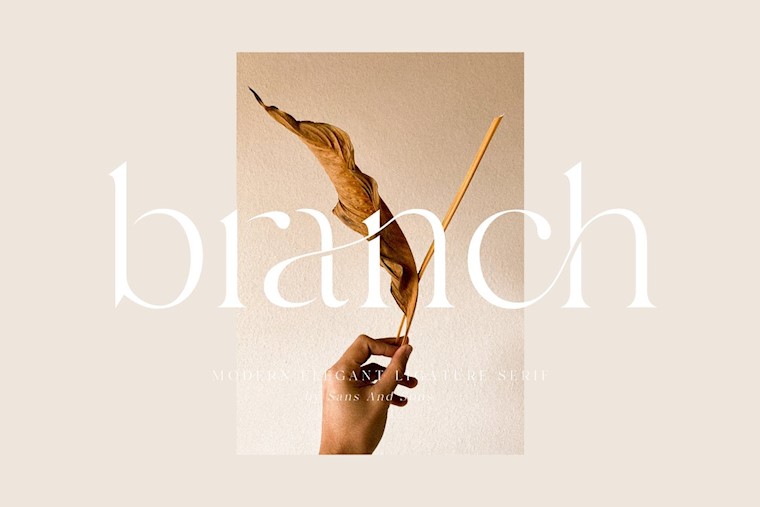 branch modern ligature serif