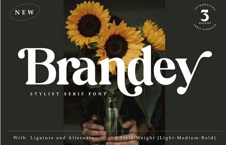 brandey stylist serif font