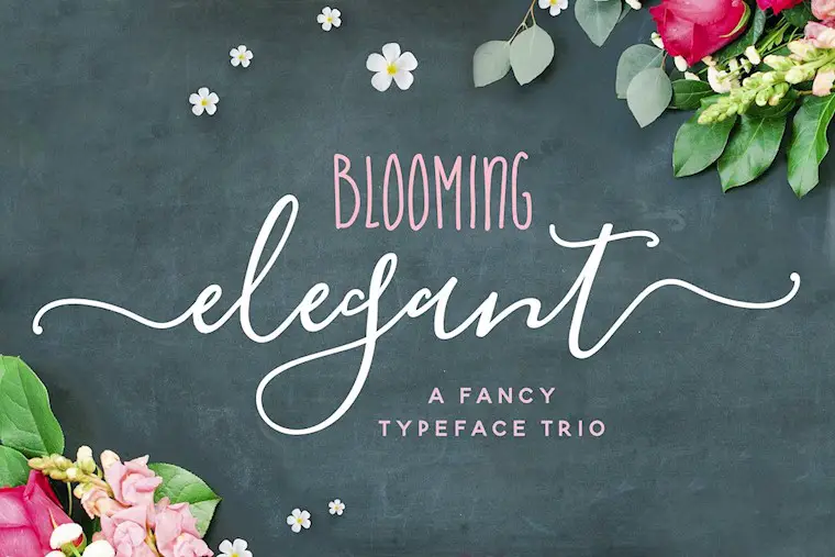 the blooming elegant font trio