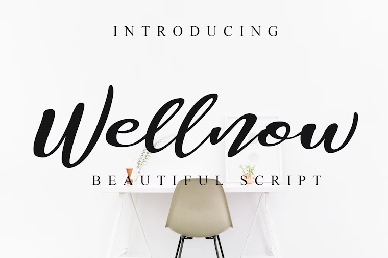 wellnow beautiful font