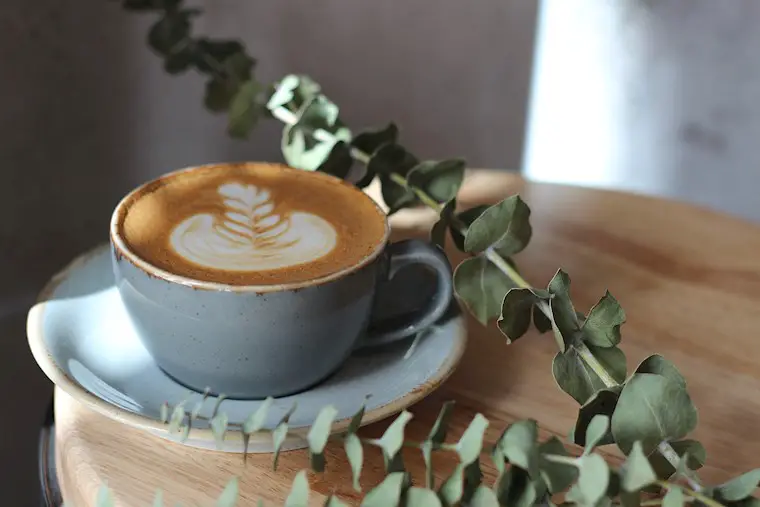 30000 Aesthetic Coffee Pictures  Download Free Images on Unsplash