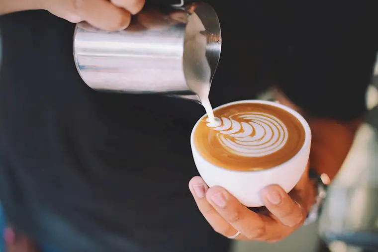 person holding white coffe cup background