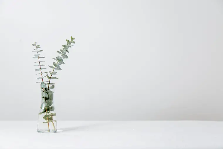 vase on the white table