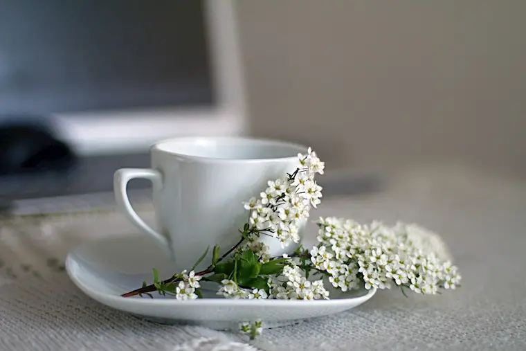 white flowers on white teacup background
