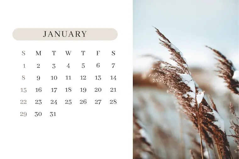 31 Cute January Calendars 2023 (FREE Printable)