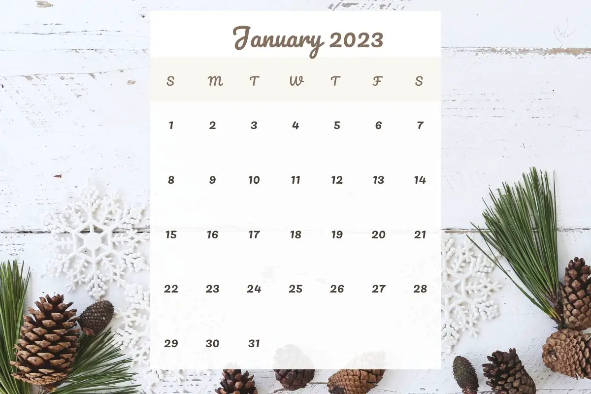 31 Cute January Calendars 2023 (FREE Printable)