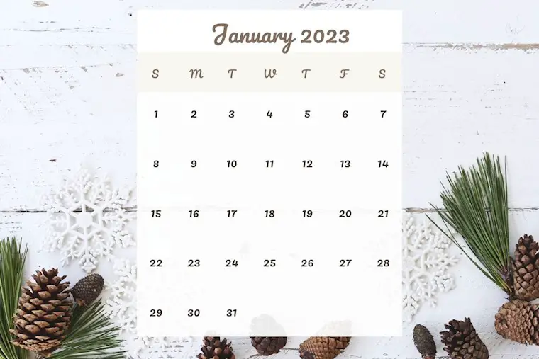 cute january calendar 2023 2