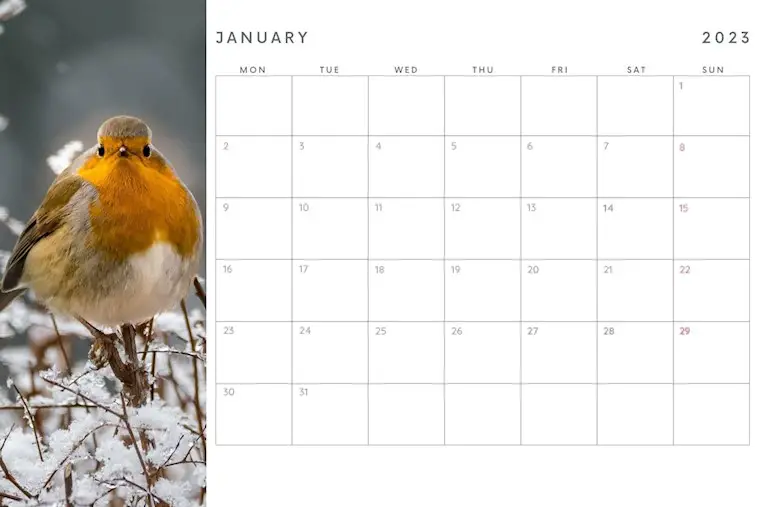 nature january calendar 2023 printable