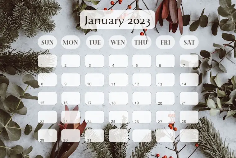 plant january calendar 2023