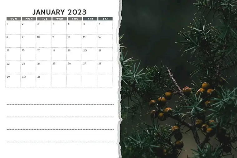 rosemary and torn paper january 2023 calendar
