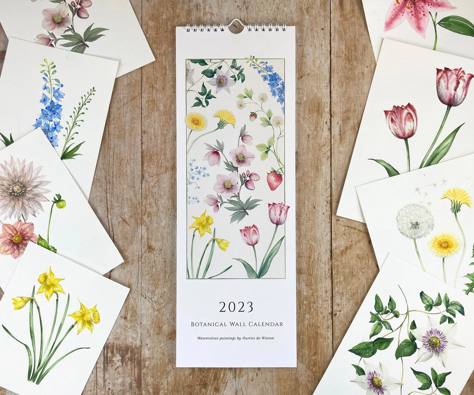 16 2023 botanical slim wall calendar