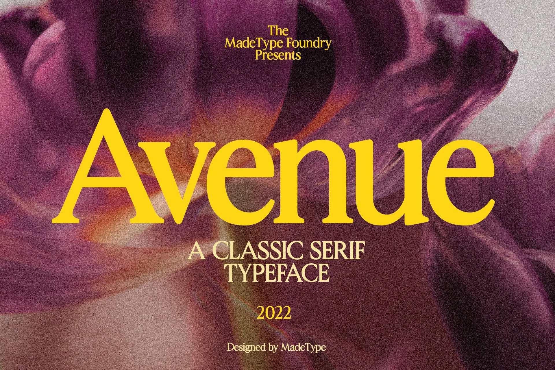 avenue classic serif font 1