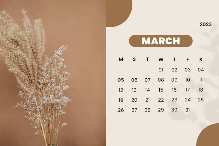 brown simple photography march 2023 calendar