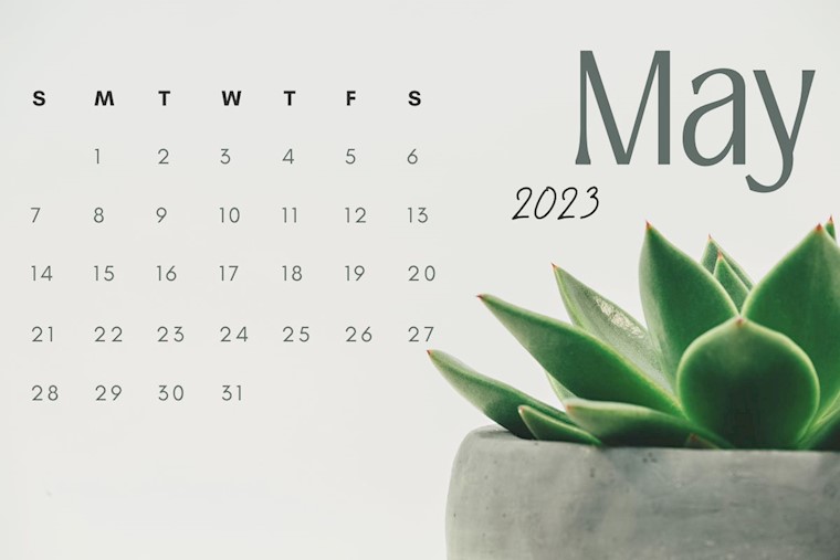 cute plant may 2023 calendar