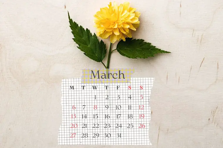 flower background march 2023 calendar