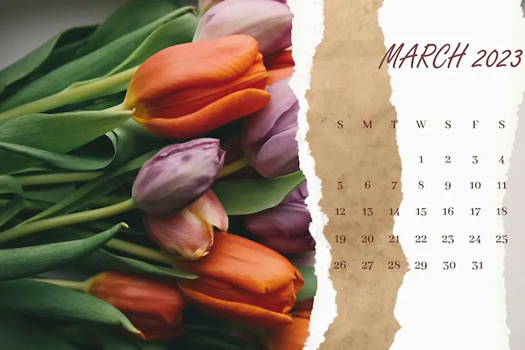flower style march 2023 calendar
