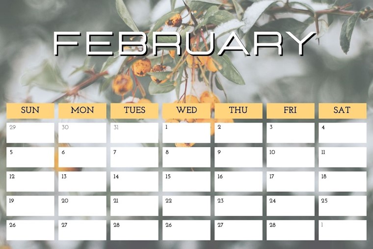 orange modern calendar february 2023