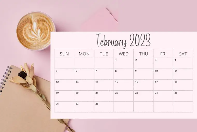 pink simple customizable february 2023 calendar