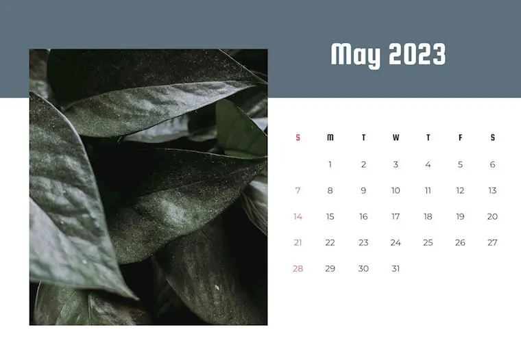 simple photogtaphic pastel may 2023 calendar