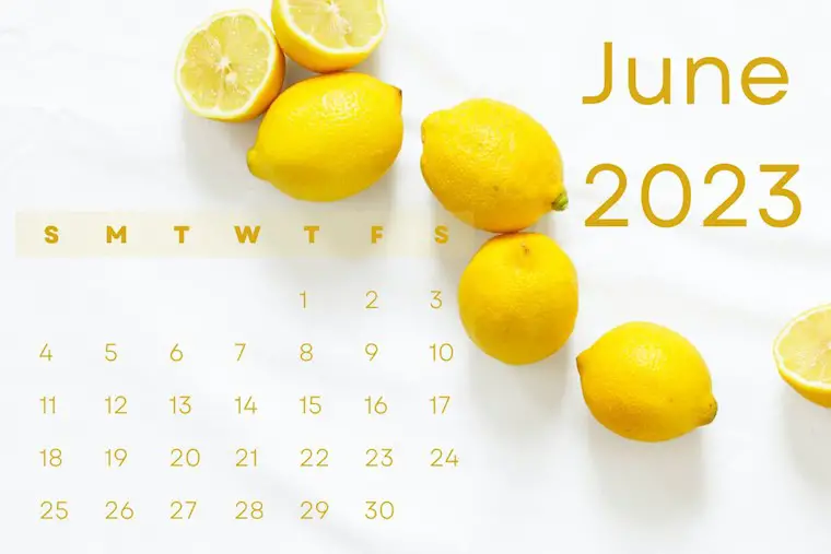cute lemon june 2023 calendar