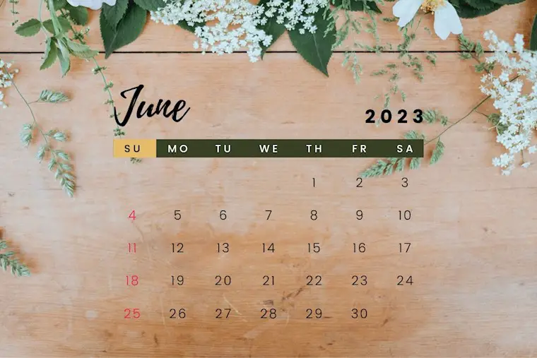 cute photo june 2023 calendar