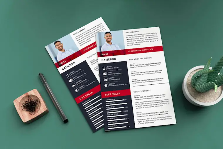 cv resume design 2