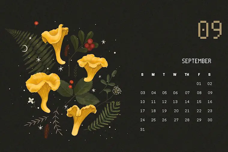 dark forest september 2023 calendar