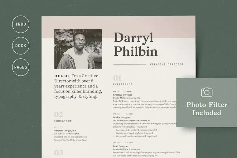 elegant resume cv