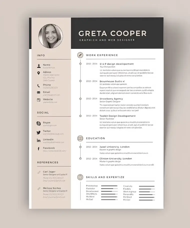 free clean cv resume ii