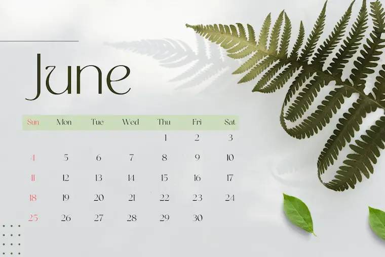 green gray clean leaves june 2023 calendar