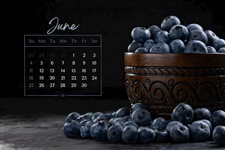 minimalist black blue june 2023 calendar