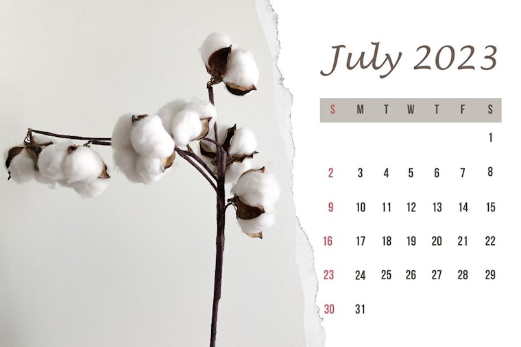 minimalist cotton decoration july 2023 calendar