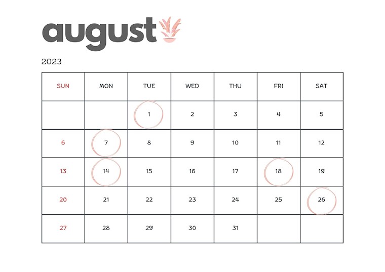 pink modern august 2023 wall calendar